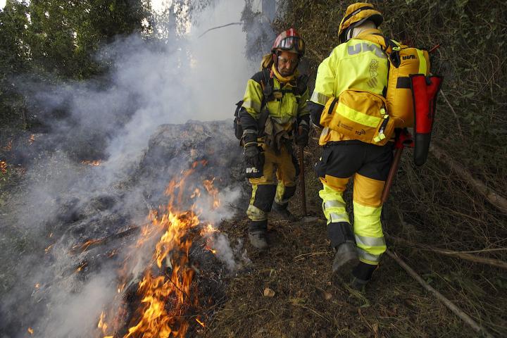El incendio forestal iniciado el jueves en Montitxelvo (Valencia).