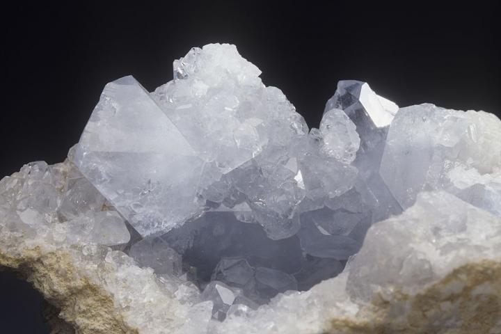 Celestina, en una imagen de archivo