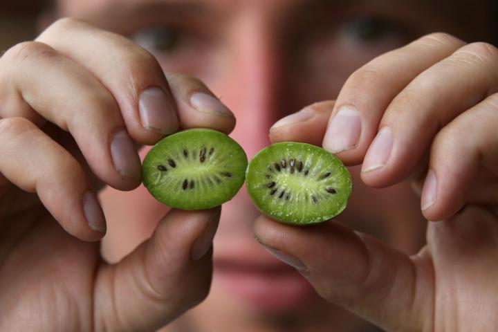 Un agricultor sostiene un ejemplear de kiwiño.