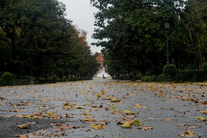 Un parque en Sevilla.