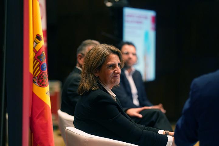 La ministra Teresa Ribera en el encuentro de los socialdemócratas europeos celebrado el 10 de noviembre de 2023  en Málaga.