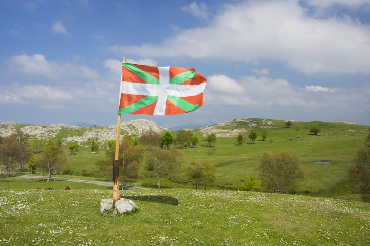 Bandera del País Vasco ondea al viento en un campo.