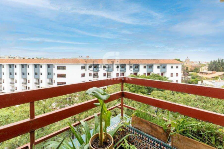 Una de las terrazas de la casa de Sevilla.