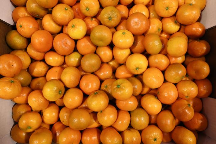 Cientos de clementinas apiladas.