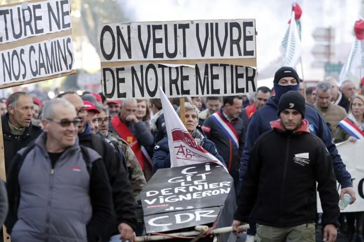 Miles de viticultores franceses protestan contra las importaciones de vino español.