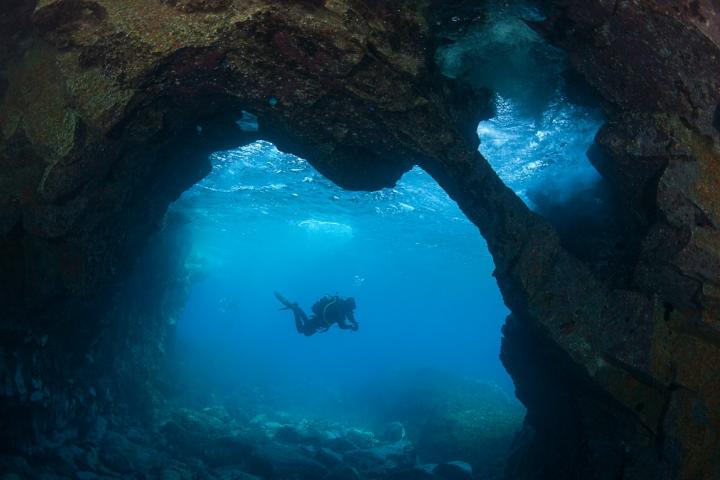 Un buzo en el océano