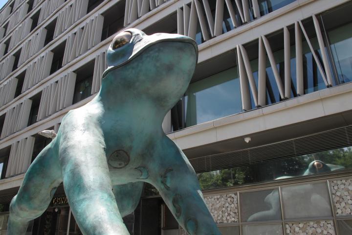 La rana gigante de Colon.