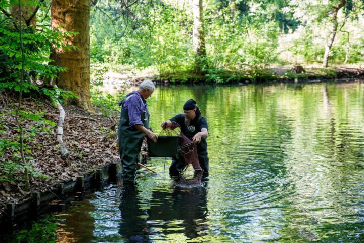 Unos pescadores, en el río cogiendo cangrejos