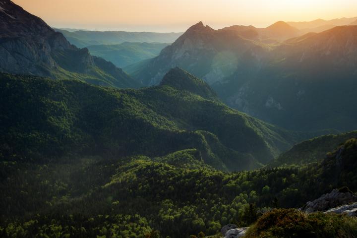 Imagen de archivo de Perucica.