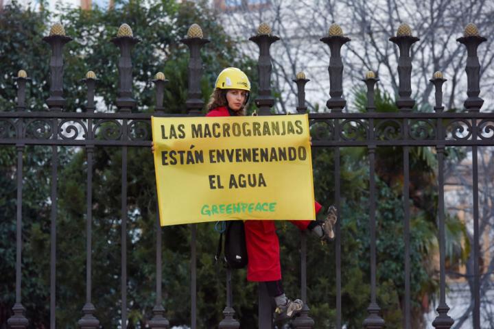 Una activista de Greepeace, encadenada a la verja del Ministerio de Agricultura en una protesta de la ONG.