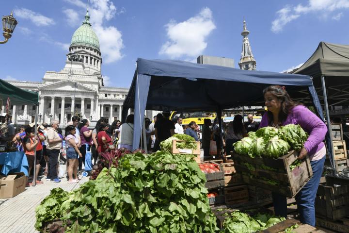 El 'mercado protesta' contra los recortes del Gobierno de Milei, organizado por los sindicatos argentinos delante del edificio del Congreso.