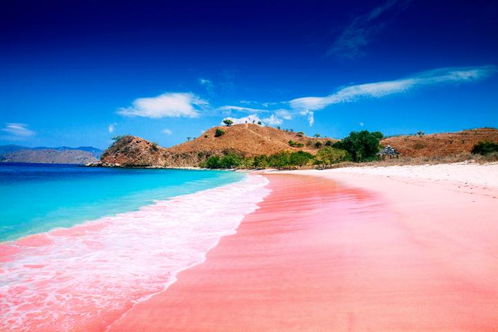 Pink Beach, Komodo Island, Indonesia