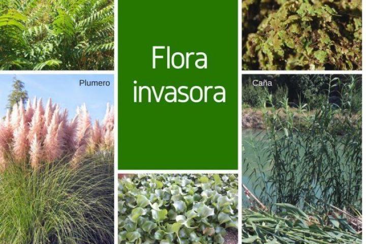 La flora invasora en España
