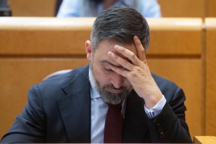 Santiago Abascal en el Senado.