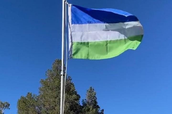 Bandera de Molossia.