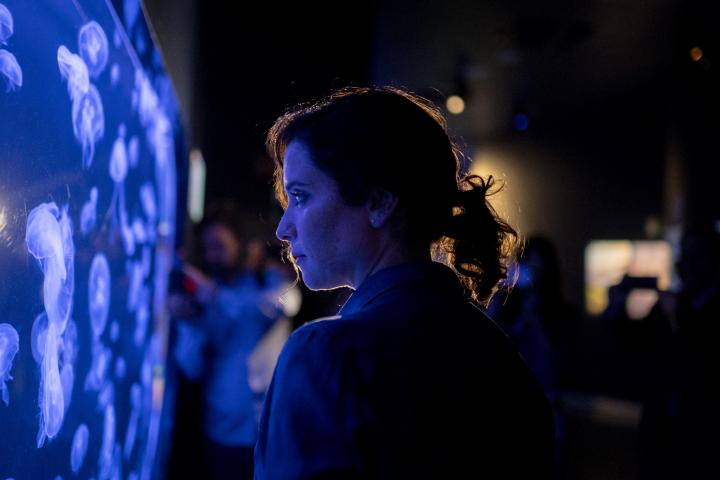 Ayuso viendo el Atlantis Aquarium de Madrid.