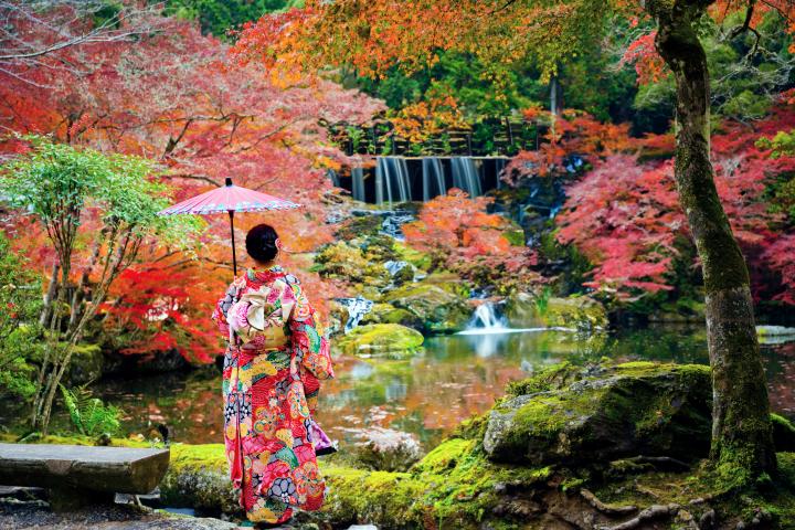Jardín japonés en otoño.