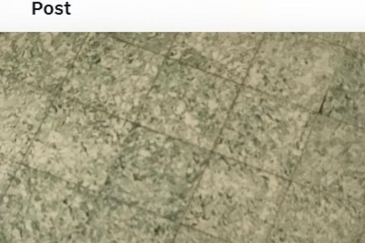 El tuit publicado por @SofiVeronn