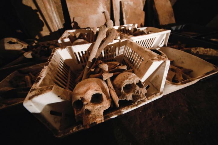 Calaveras y restos óseos recuperados en una exploración arqueológica en Nápoles.