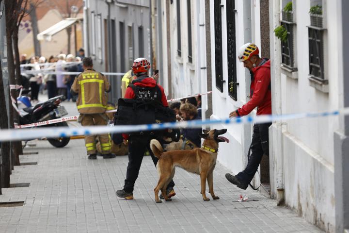 Los bomberos inspeccionan el interior de un edificio de cinco pisos, acompañados de la unidad de búsqueda canina.