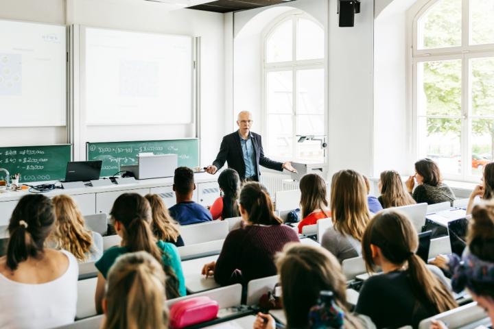 Profesor de universidad