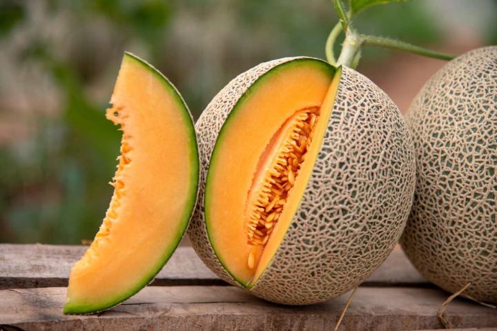 Melón