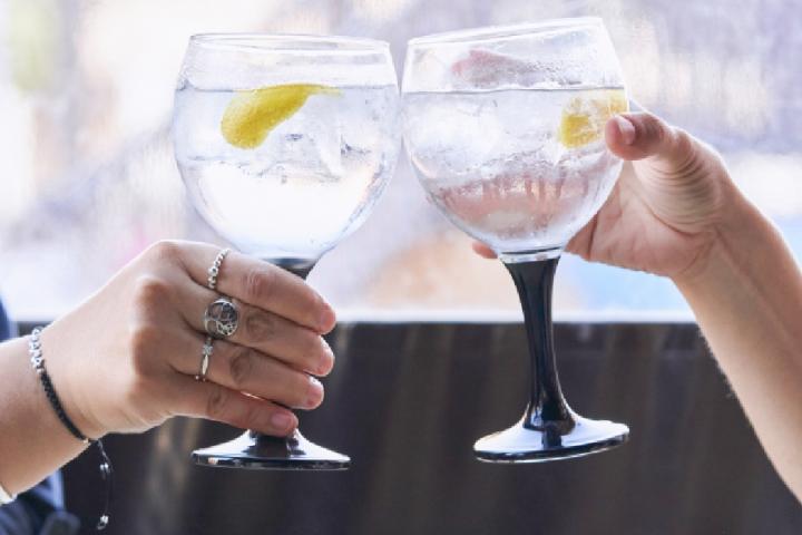 Dos personas brindando con su gin-tonic.