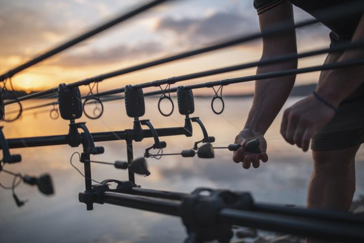 Preparación de aparejos de pesca de carpa, en una imagen de archivo.