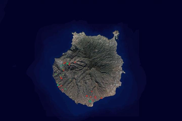 Mapa de Gran Canaria de plantas del manzano de Sodoma extraídas, observadas y en seguimiento de Gran Canaria