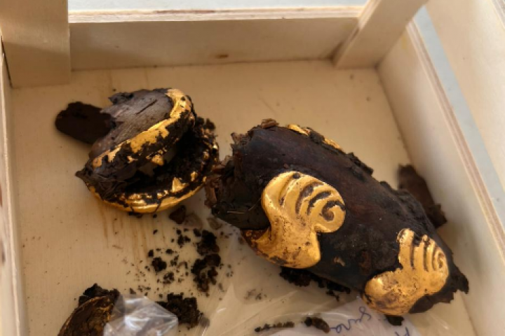 Piezas de oro de encontradas en el parque arqueológico de El  Caño