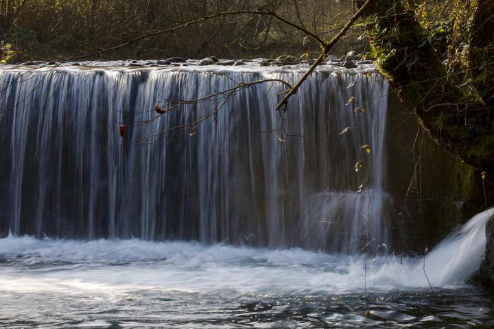 Imagen de la zona de Navarra en la que han aparecido por primera vez salmones atlánticos