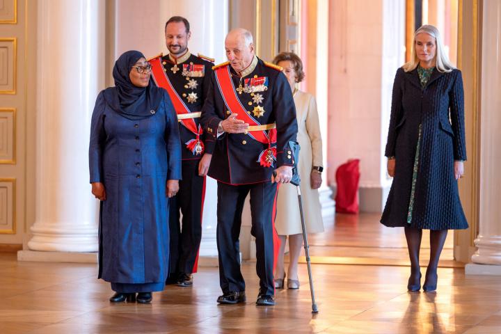 El rey Harald, durante una audiencia en Oslo el 13 de febrero de 2024.