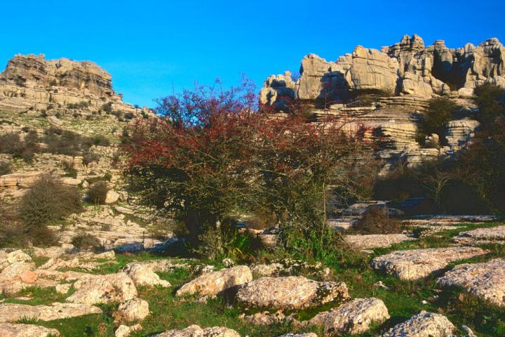 Parque Nacional El Torcal, en Antequera (Málaga).