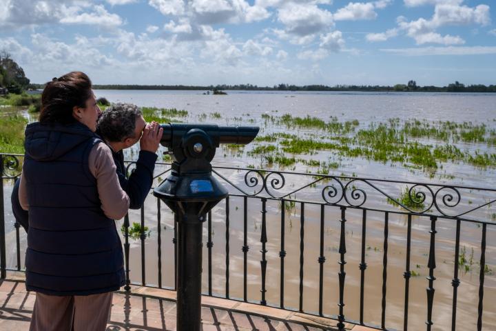 Dos personas observan la fauna en las marismas de El Rocío (Huelva) junto al Parque Nacional de Doñana.