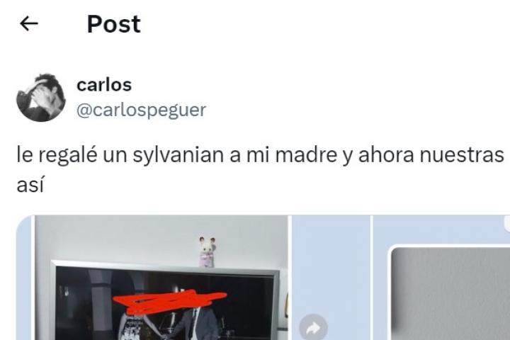 El tuit publicado por Carlos Peguer.
