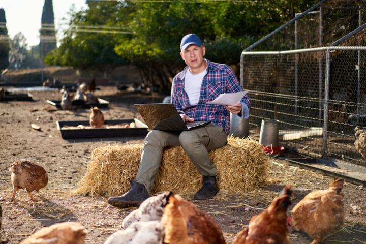 Imagen de archivo de un ganadero consultando su ordenador portátil ante un gallinero.