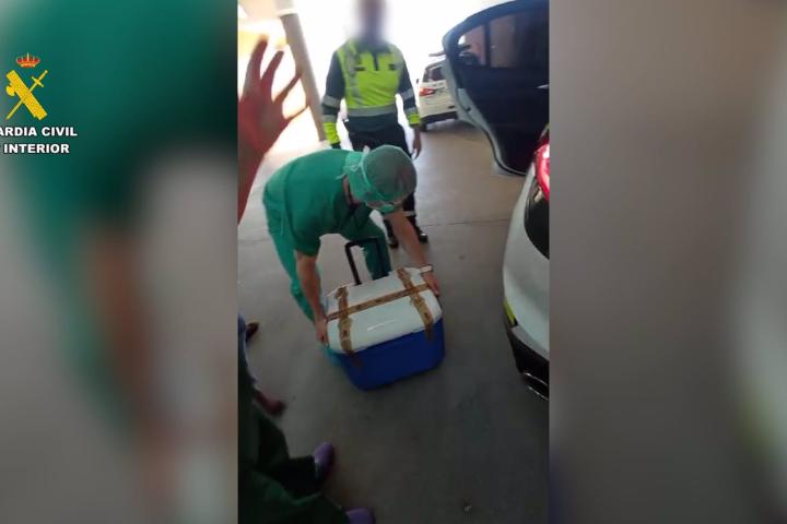 Imágenes del traslado del corazón