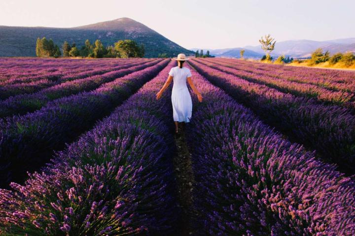 Mujer paseando por un campo de lavanda
