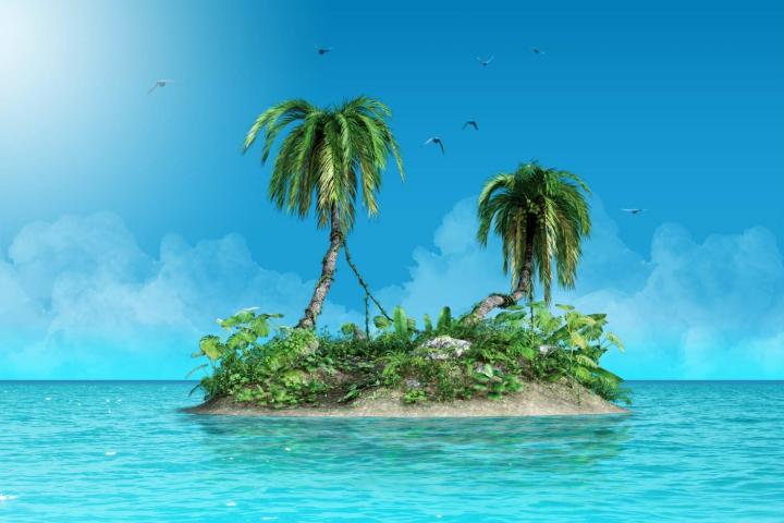 Isla con dos palmeras