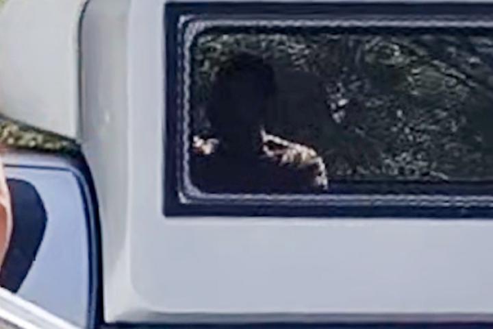 Daniel Sancho, a su llegada al juicio el 30 de abril de 2024.