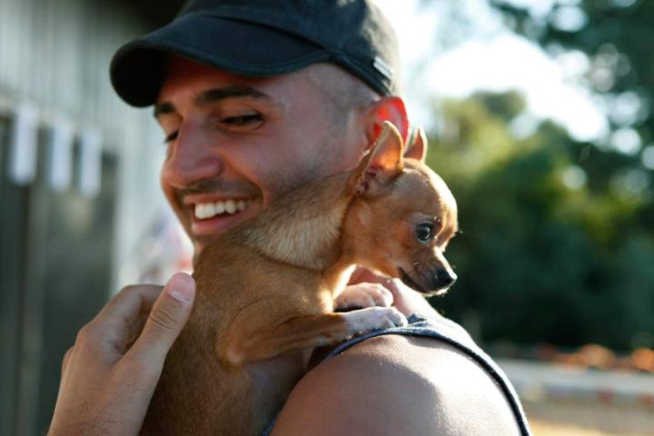 Un chihuahua con su dueño