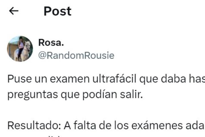 El mensaje de la usuaria @RandomRuise