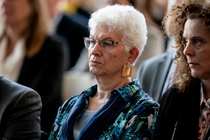 Rodica Radian-Gordon, en un acto reciente en la Asamblea de Madrid