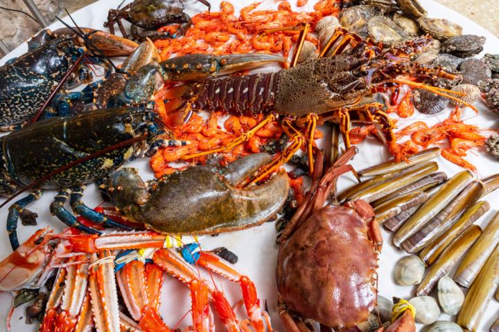 Varios de los mariscos protagonistas de la Festa do Marisco de O Grove.