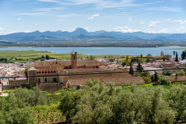 Embalse de Bornos (Cádiz).