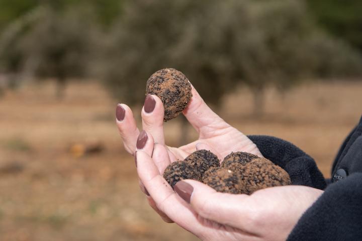 Una mujer con trufas negras.