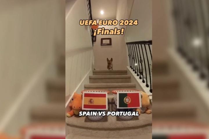 Steph Furry hace su predicción de la final de la Eurocopa 2024.