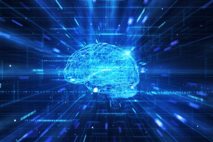 Un estudio científico revela que el cerebro intenta predecir el futuro mientras duerme.