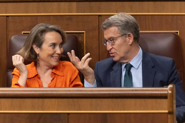 La secretaria del PP, Cuca Gamarra, y el presidente del Partido Popular, Núñez Feijóo, en un instante de un pleno del Congreso.