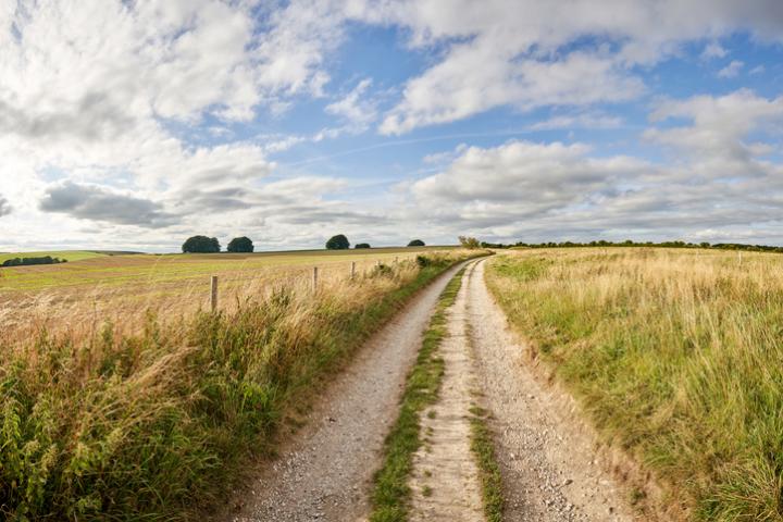 Imagen de archivo de un sendero.